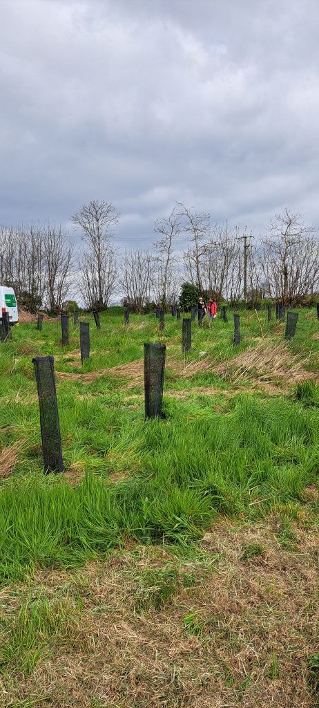 ASSOCIATION FORET-JARDIN