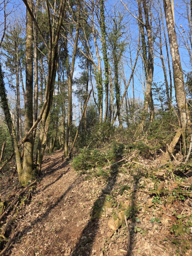 Entretien sentiers de randonnée