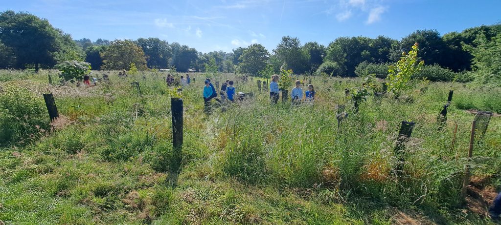 Association forêt-jardin