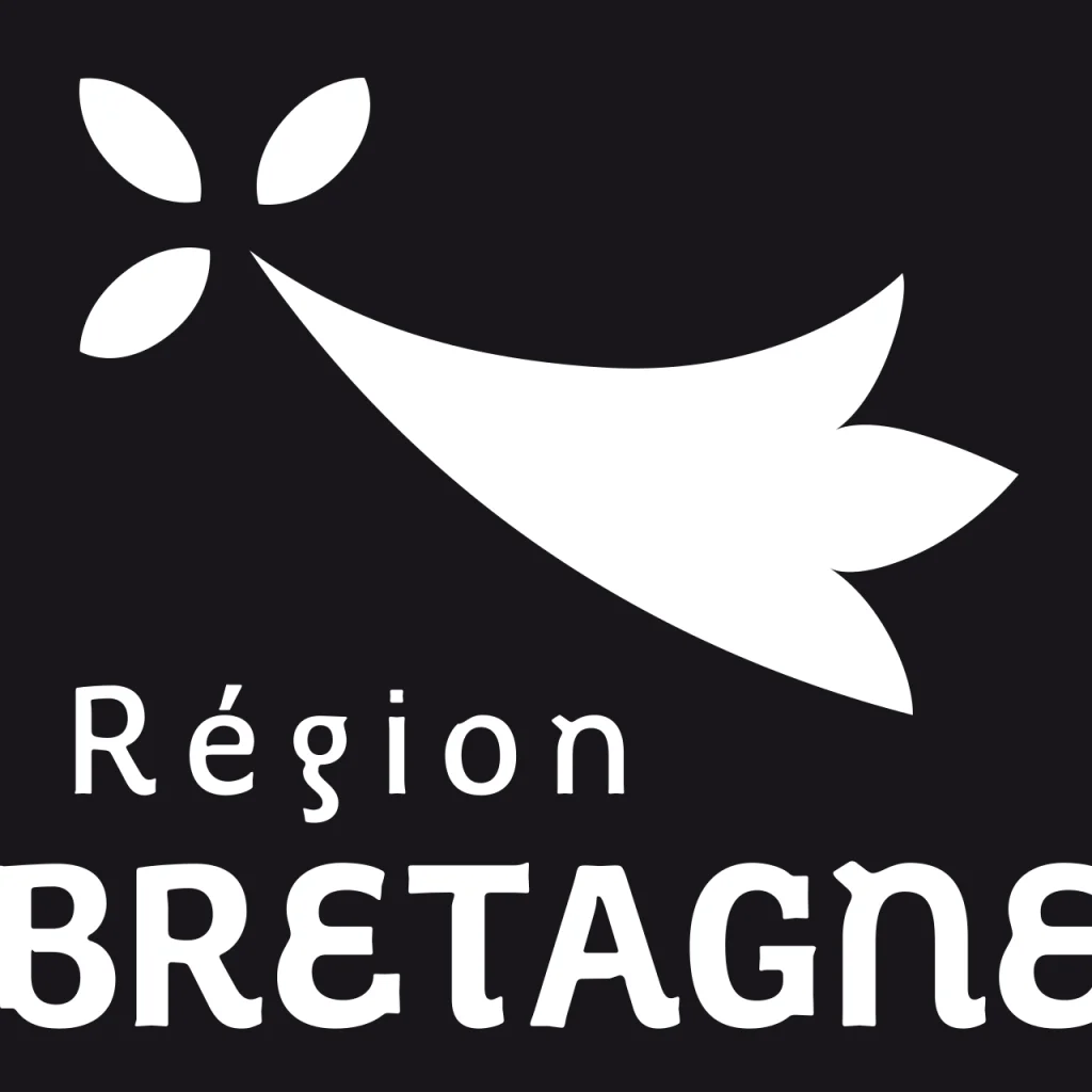 Consultation des Bretonnes et Bretons sur la démocratie régionale